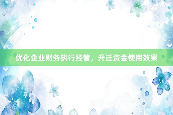 优化企业财务执行经管，升迁资金使用效果